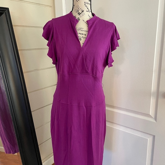 Cache Figure flattering dress with ruffled cap sleeve. Size 12. - Picture 2 of 4